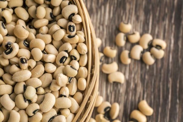 Black-Eyed Beans - Cowpea - Annapushti Enterprise Private Limited