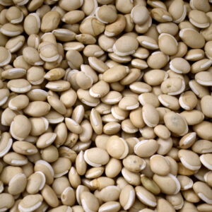 Field Beans - Annapushti Enterprise Private Limited