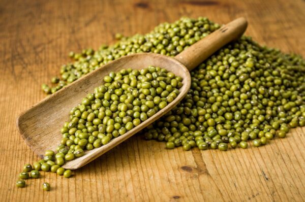 Green Gram - Mung Bean - Annapushti Enterprise Private Limited