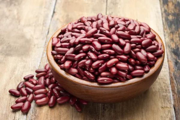 Kidney Beans - Annapushti Enterprise Private Limited