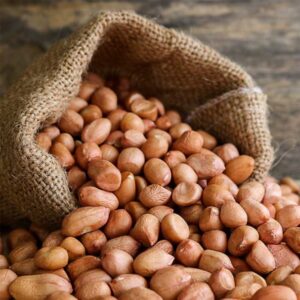 Groundnut - Annapushti Enterprise Private Limited