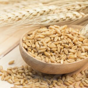 Barley - Annapushti Enterprise Private Limited