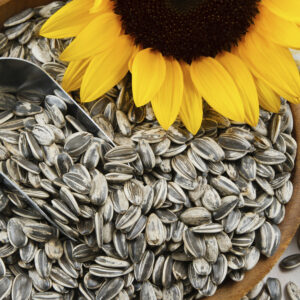 Sunflower Seeds- Annapushti Enterprise Private Limited